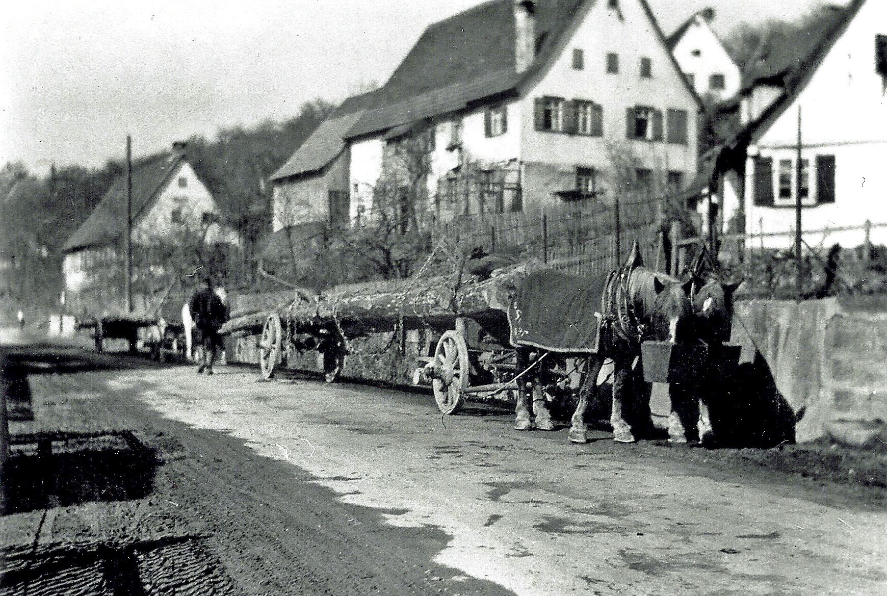 Langholzfuhrwerk vor der Traube, 1931